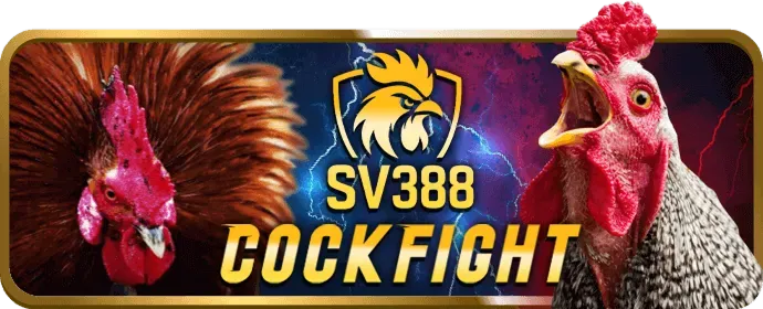 Hỗ trợ khách hàng Xoxo66 24/7